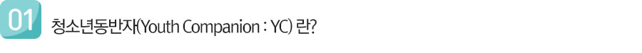 1.청소년동반자(Youth Companion : YC) 란?